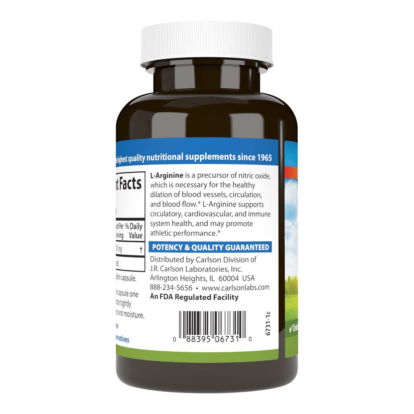 Carlson L-Arginine 675 mg – Supports Healthy Circulatory & Cardiovascular System | 90 Capsules (Pack of 2)