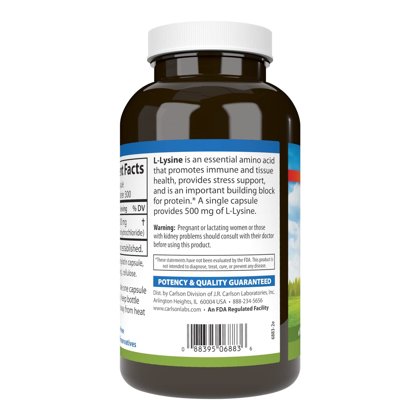 Carlson L-Lysine 500 mg – Supports Healthy Tissue & Muscle Development | 300 Capsules