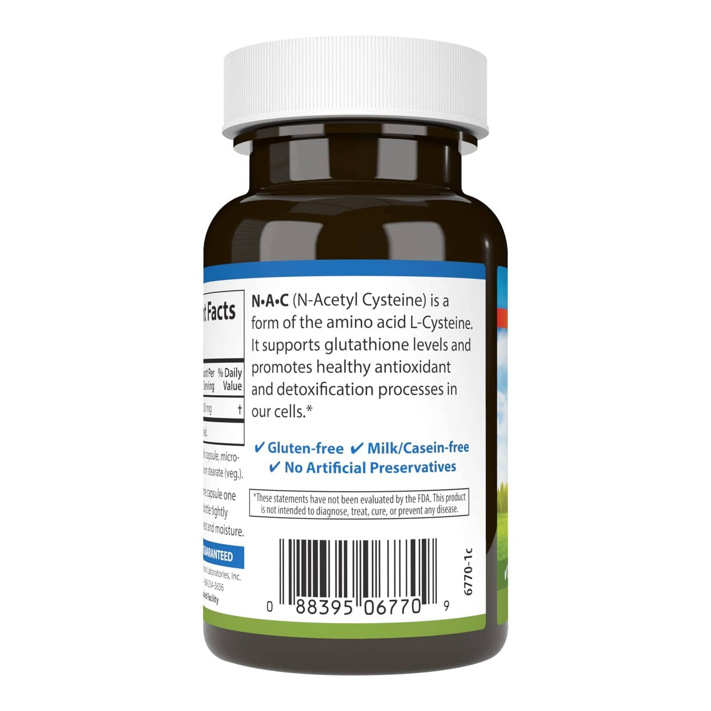 Carlson Labs NAC N-Acetyl Cysteine 500mg – 60 Capsules (Pack of 2)