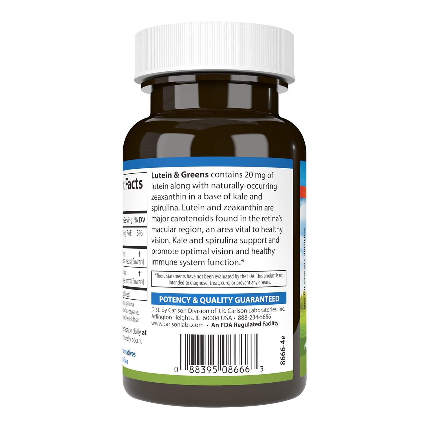 Carlson Lutein & Greens 20 mg – Vision Support | 60 Vegetarian Capsules