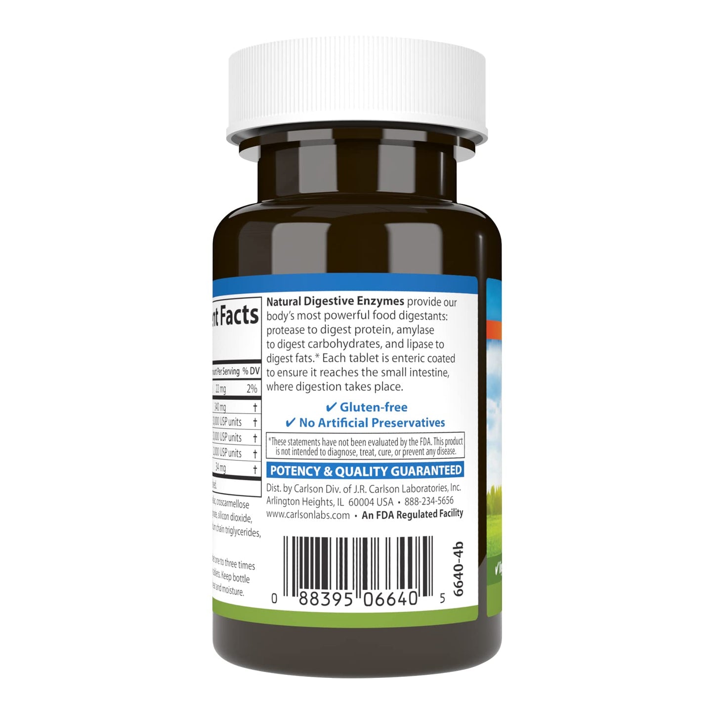 Carlson Natural Digestive Enzymes #34 - Protease, Amylase & Lipase | Digestive Support, 50 Tablets
