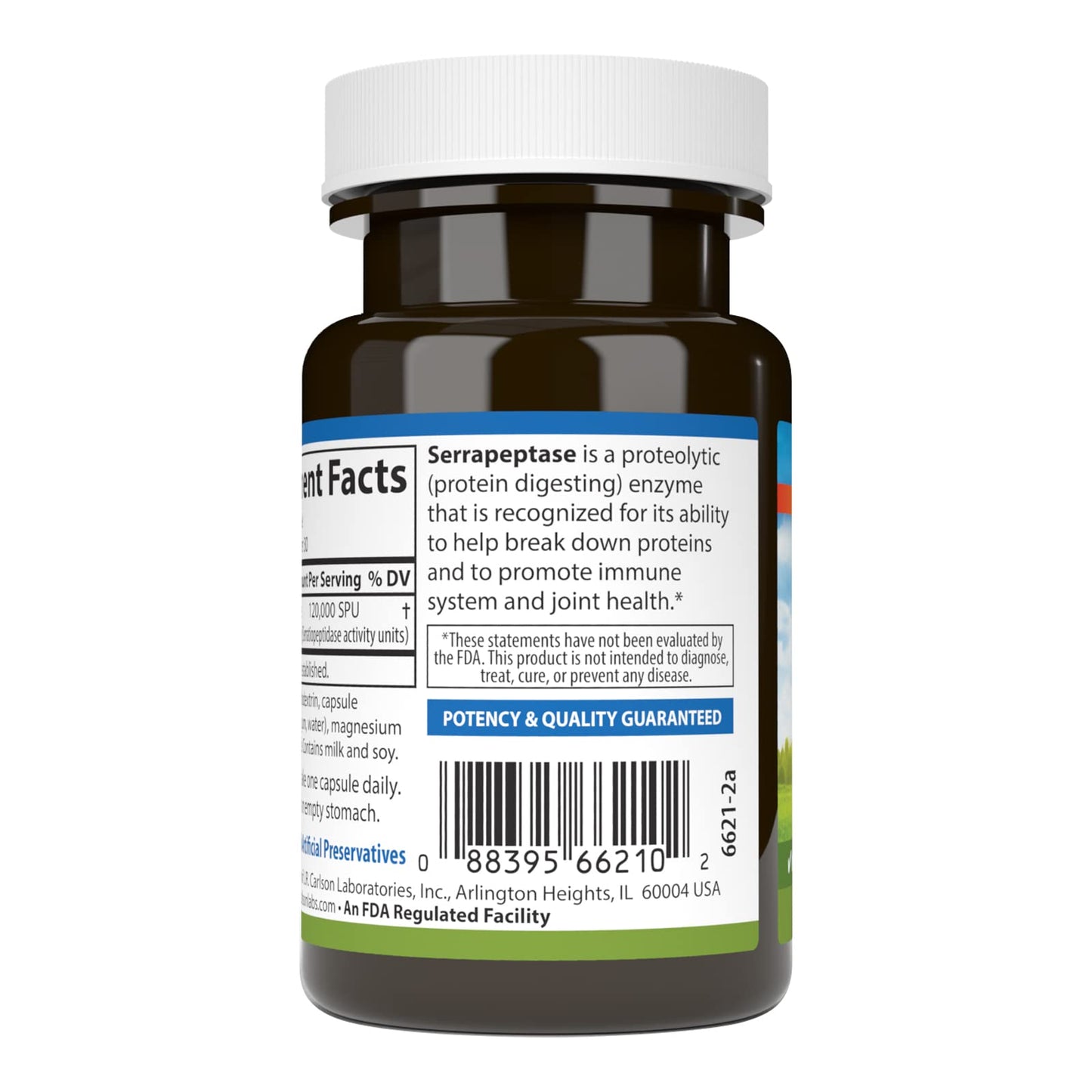 Carlson Serrapeptase 120000 SPUs - Delayed Release, Immune & Joint Support, 30 Vegetarian Capsules