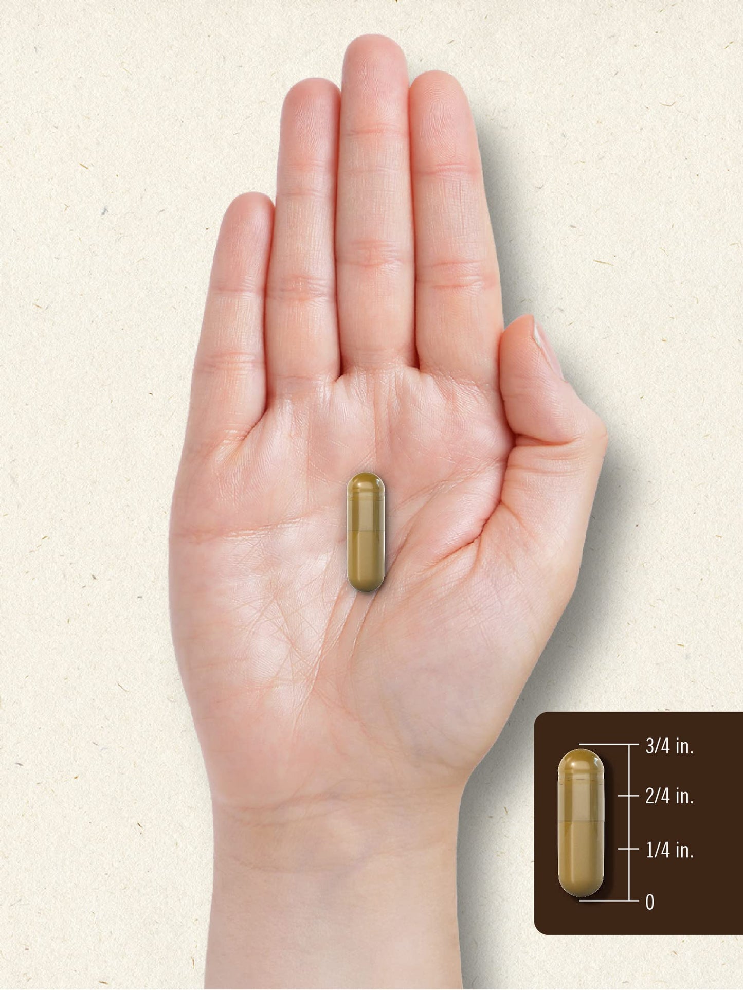 Carlyle Bee Propolis Capsules 600mg | 150 Count | Non-GMO, Gluten Free | Extract Supplement