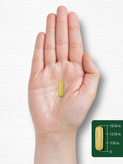 Carlyle Berberine with Ceylon Cinnamon 2000mg | 60 Capsules | Vegetarian, Non-GMO, Gluten Free (Pack of 2)