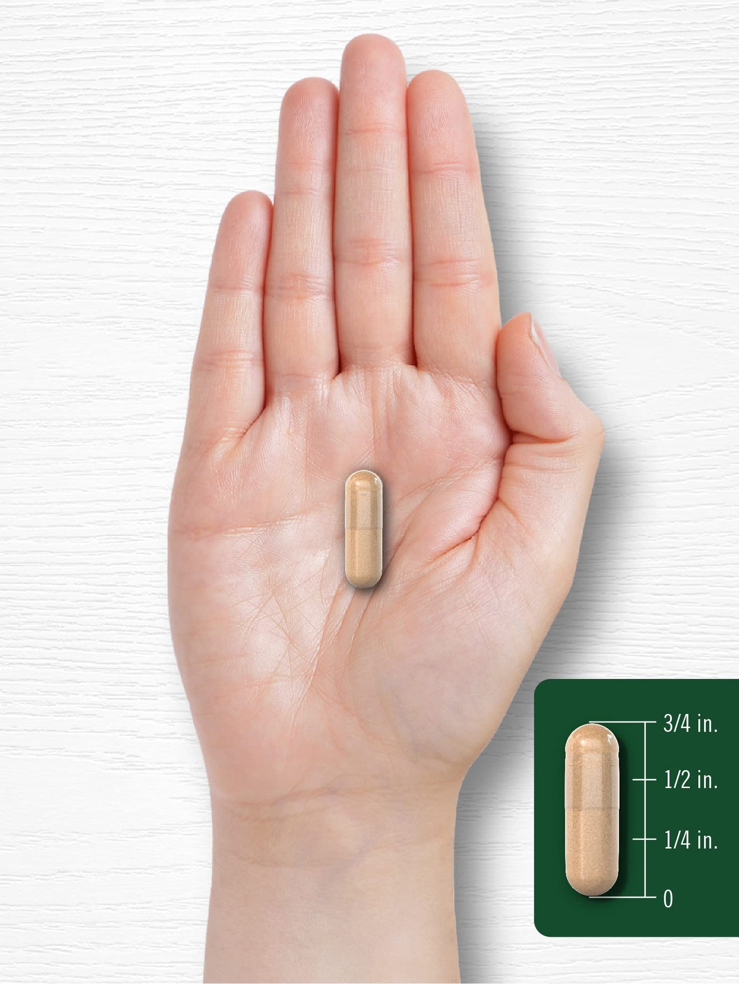 Carlyle Black Walnut Wormwood 120 Capsules | Non-GMO, Gluten Free