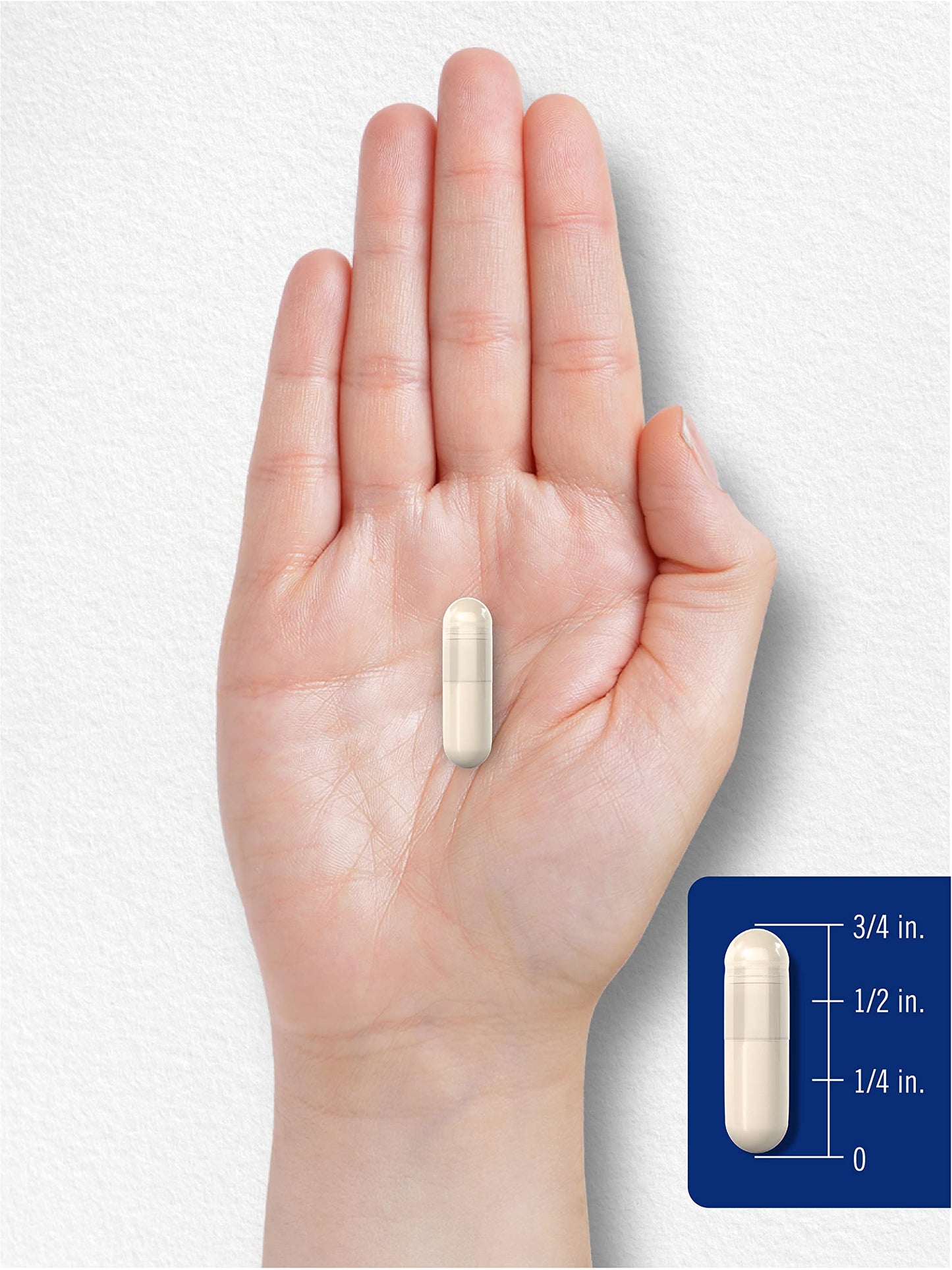 Carlyle DMG Supplement - 150 mg DMG, 180 Capsules | Non-GMO Gluten Free