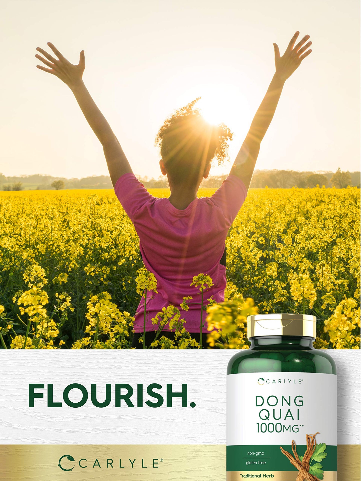 Carlyle Dong Quai Capsules 1000mg – 250 Count | Non-GMO & Gluten Free Traditional Herb