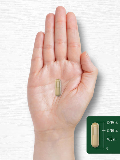 Carlyle Echinacea Goldenseal Capsules – 110 Count, 900mg | Vegetarian, Non-GMO, Gluten Free