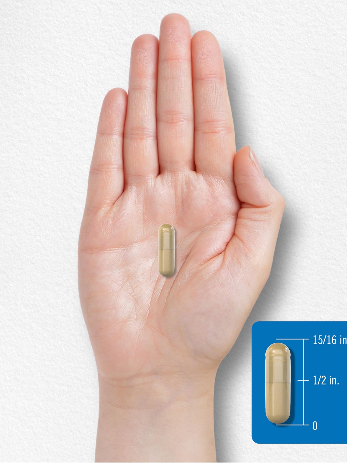 Carlyle Fiber Complex | 180 Capsules | Non-GMO Triple-Action Fiber