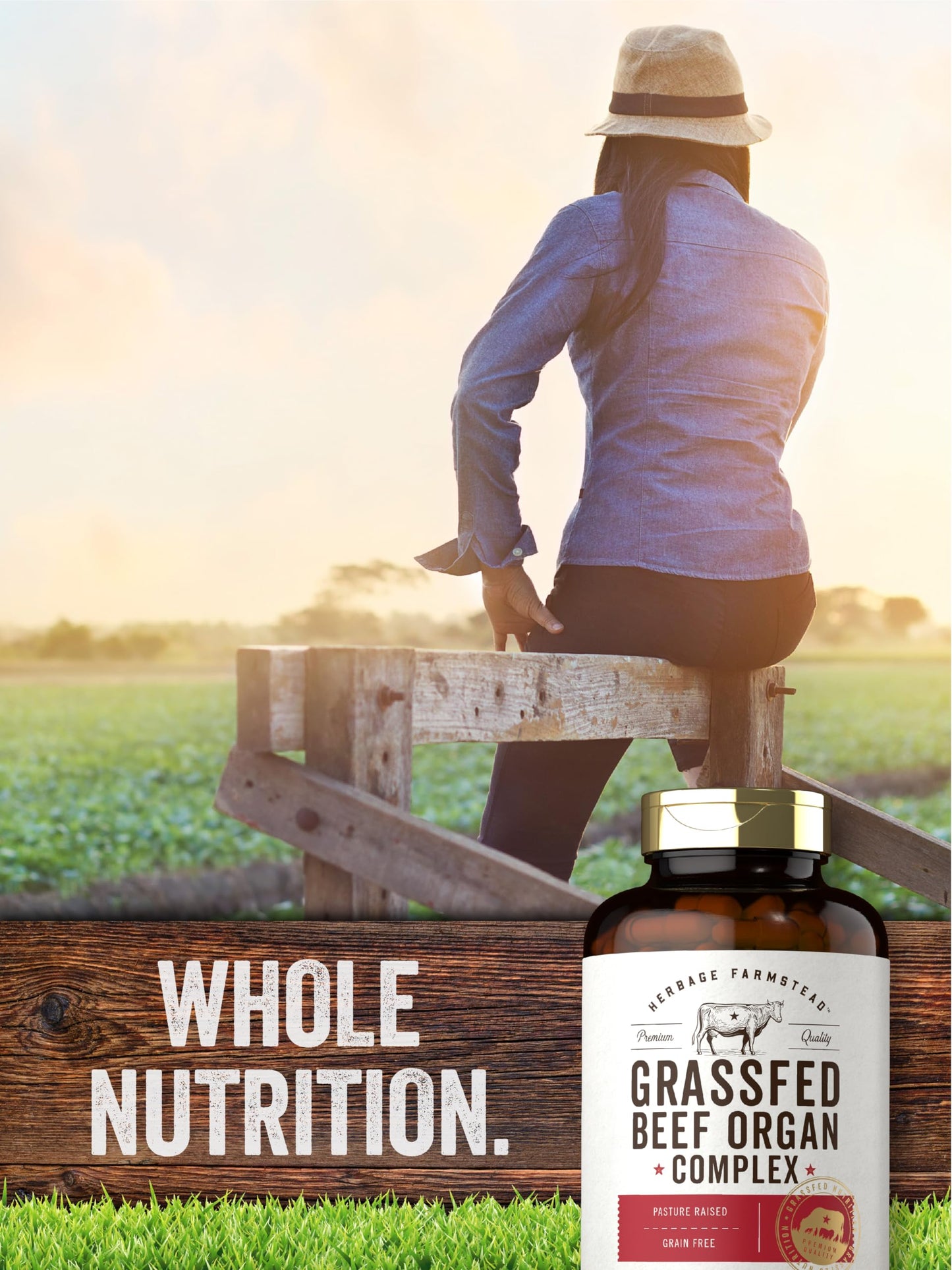 Carlyle Grass Fed Beef Organ Complex - 200 Capsules | Pasture Raised, Non-GMO | Herbage Farmstead