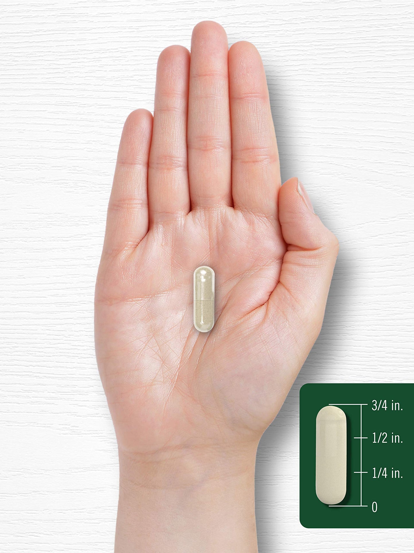 Carlyle Gymnema Sylvestre 600mg Capsules – 200 Count | Non-GMO & Gluten Free