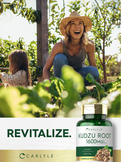 Carlyle Kudzu Root 100 Capsules – Non-GMO & Gluten Free