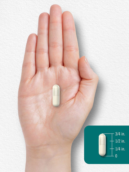 Carlyle L-Theanine 200mg Supplement | 120 Capsules | Non-GMO, Gluten Free
