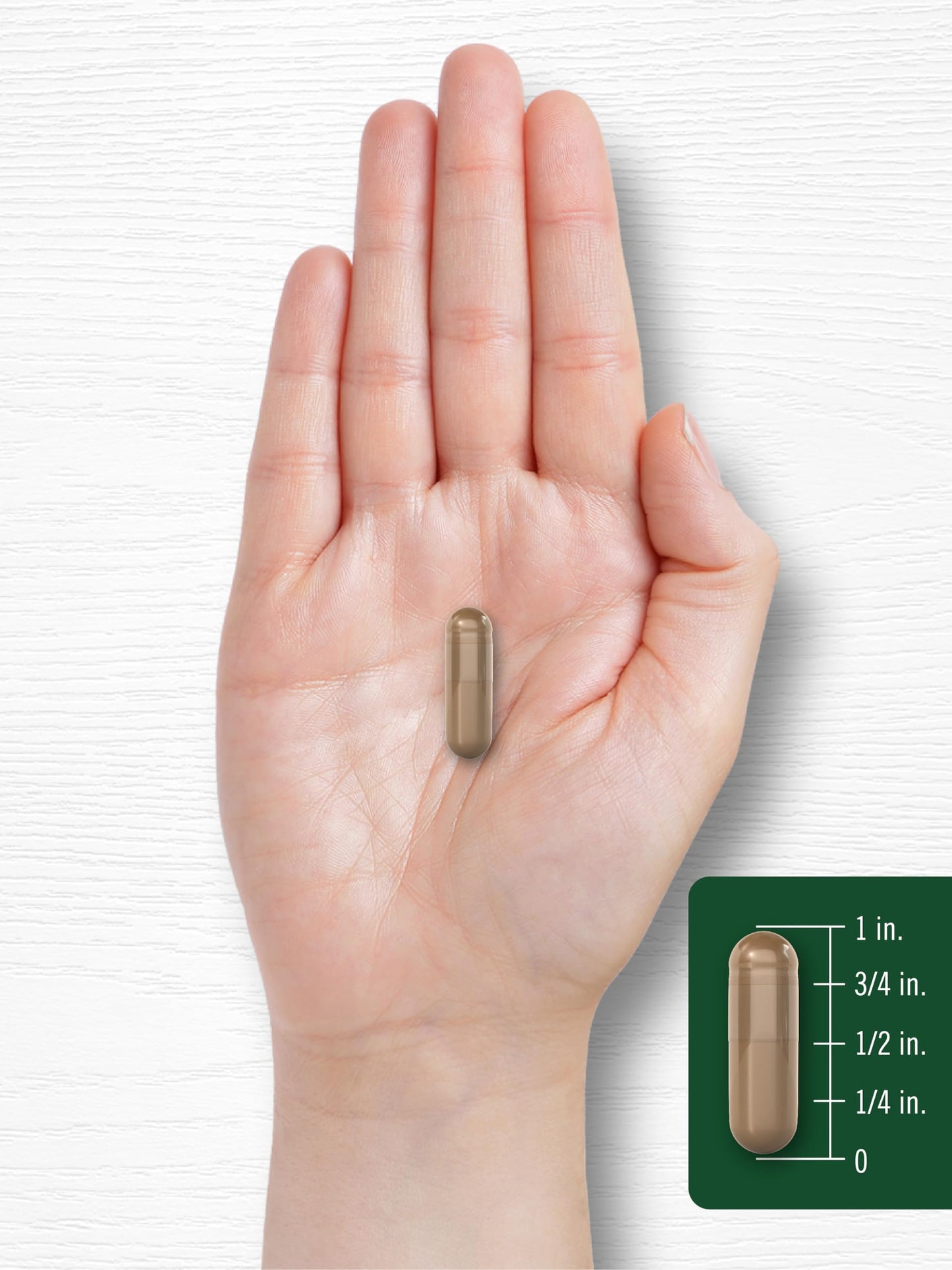 Carlyle Olive Leaf Extract Capsules – 9,000 mg, 100 Count, Non-GMO