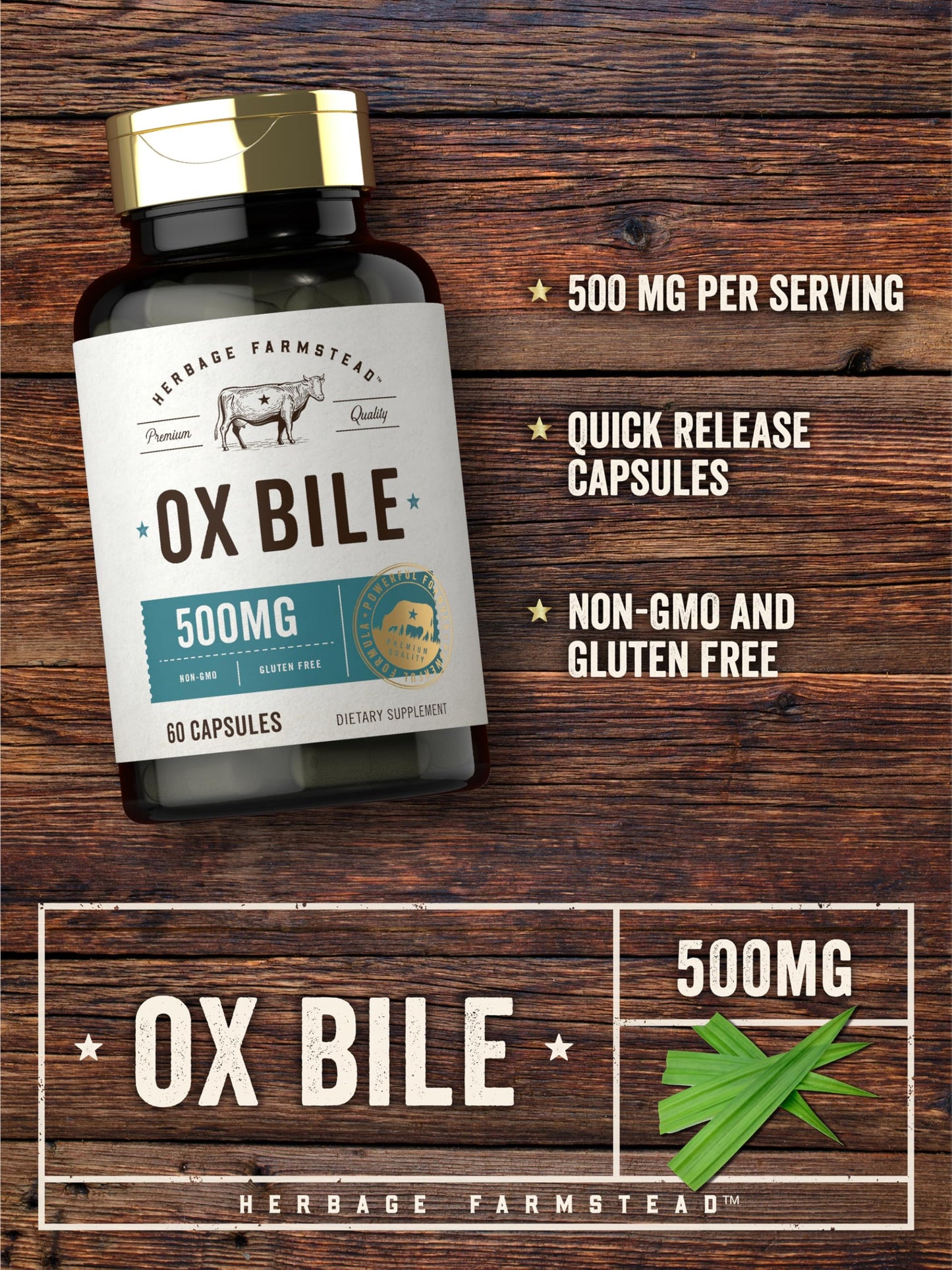 Carlyle Ox Bile Supplement 500 mg | 60 Capsules | Digestive Enzymes | Non-GMO & Gluten Free | by Herbage Farmstead