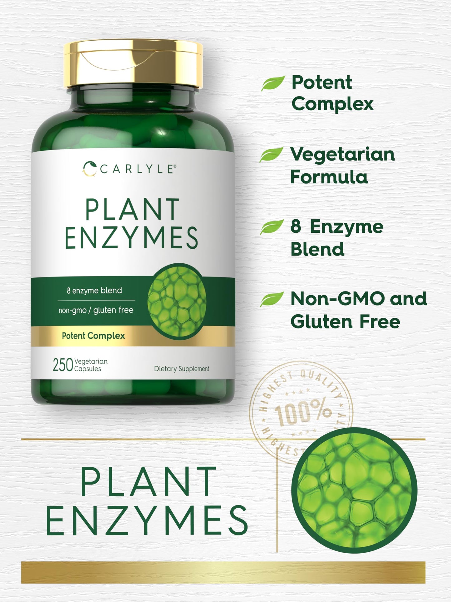 Carlyle Plant Enzymes with Protease, Papain, Lactase and Bromelain - 250 Capsules | Multi Enzyme Blend | Non-GMO & Gluten Free