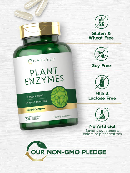 Carlyle Plant Enzymes with Protease, Papain, Lactase and Bromelain - 250 Capsules | Multi Enzyme Blend | Non-GMO & Gluten Free