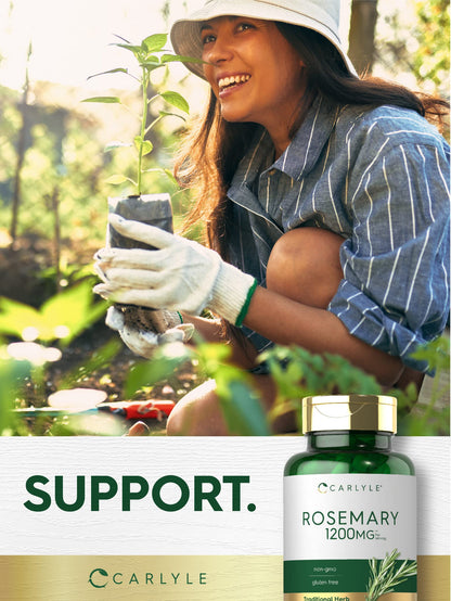Carlyle Rosemary Capsules 1200mg | 200 Count | Non-GMO & Gluten-Free Extract