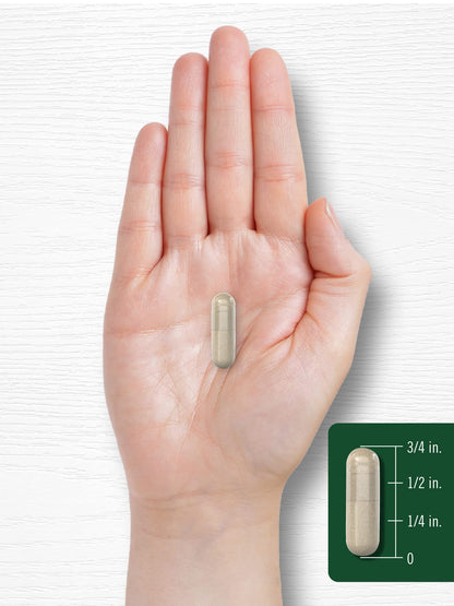 Carlyle Rosemary Capsules 1200mg | 200 Count | Non-GMO & Gluten-Free Extract