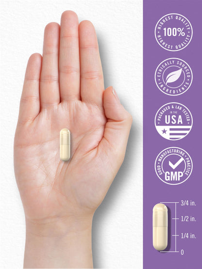 Carlyle Saccharomyces boulardii Probiotics | 10B CFUs, 200 Capsules | Gluten Free & Non-GMO