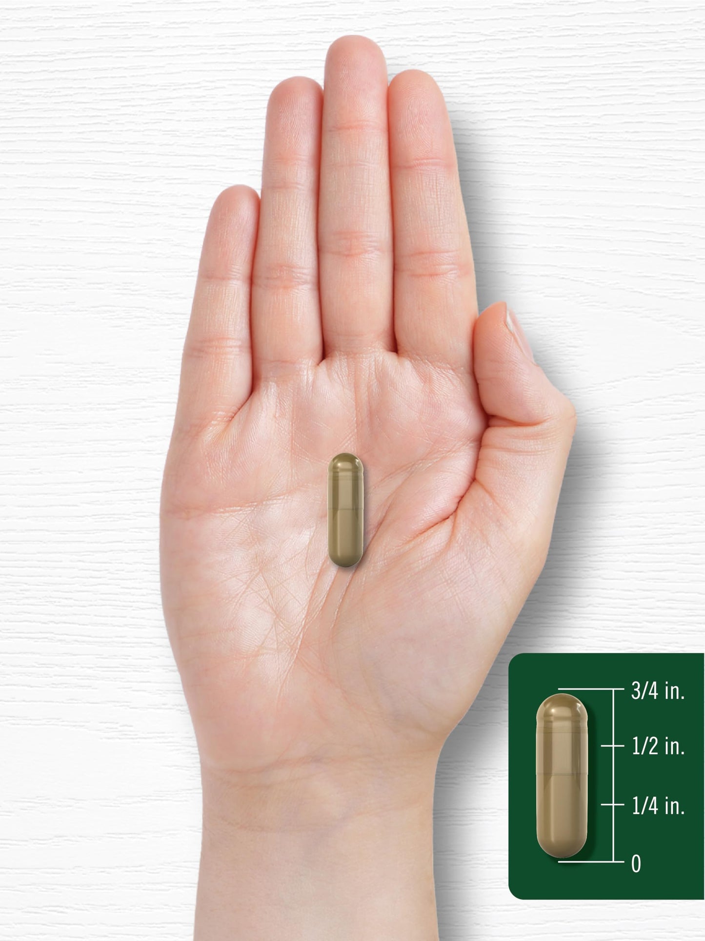 Carlyle Ginkgo Biloba Pills – 6000mg per Serving | 200 Capsules | Bacopa Extract | Extra Strength, Non-GMO & Gluten Free