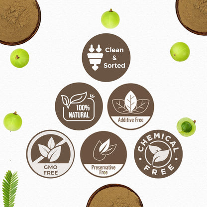 Carmel Organics Amla Powder (8 oz) – Hair & Skin Care, Wellness | Non-GMO