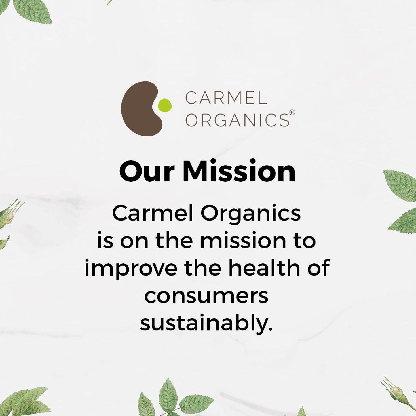Carmel Organics Triphala Powder (8 oz) for Digestive Support - No Preservatives | Harad, Baheda & Amla