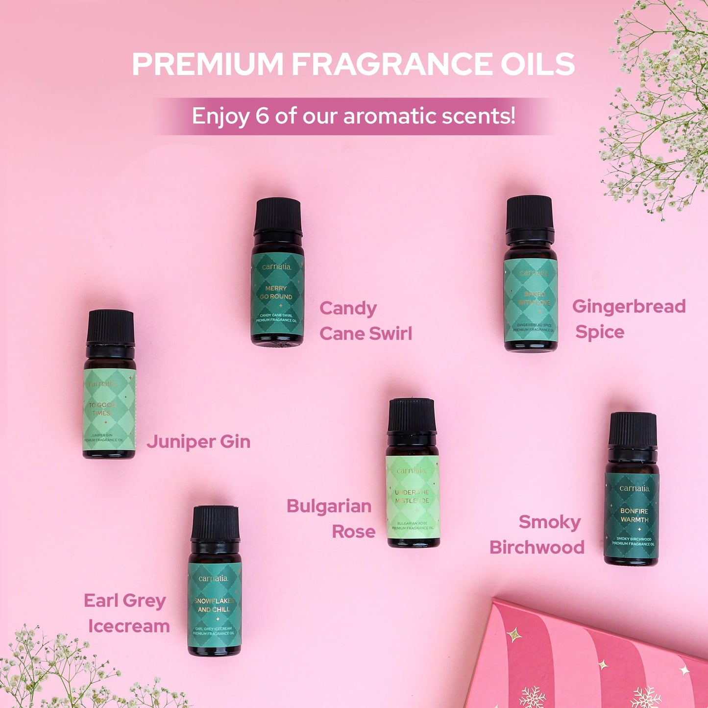 Carnatia Christmas Aroma Oil Set – 6 Cozy Scents for Diffusers, Relaxation & Holiday Gifting