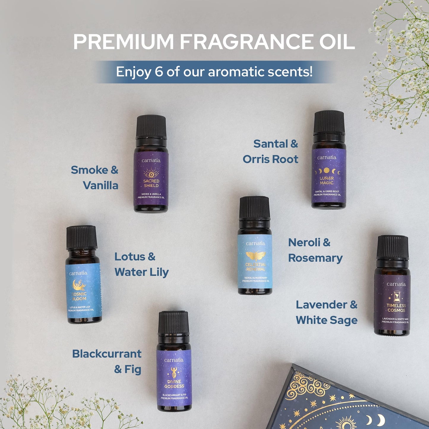 Carnatia Starry Spell Fragrance Oil Set - 6 Calming Aromatherapy Blends