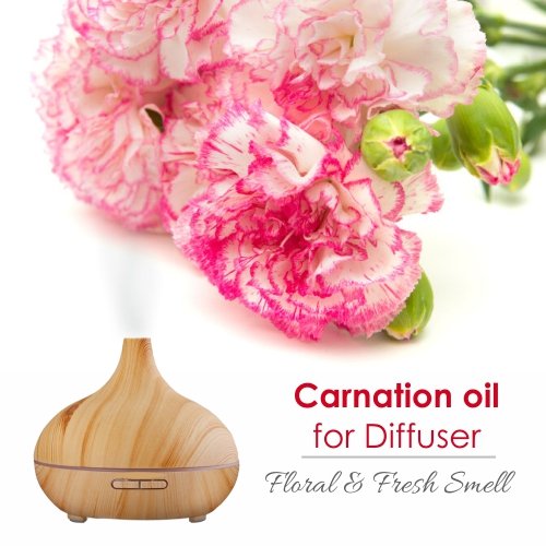 Carnation Essential Oil (Dianthus Caryophyllus) – Salvia Amber Bottle 30ML