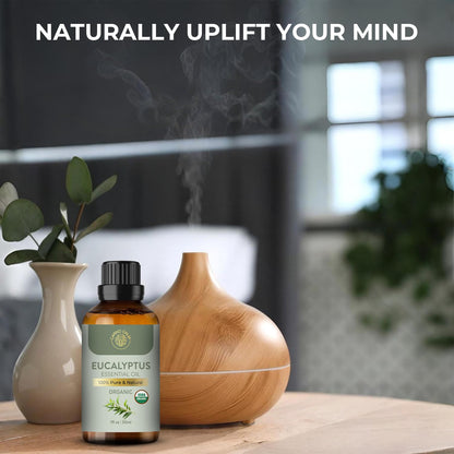 Carno Calm Eucalyptus Essential Oil | USDA Certified Organic Eucalyptus Oil | Skin & Hair Care | Aromatherapy & Diffuser | DIY Uses | 1 Fl oz