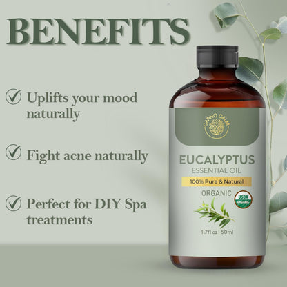 Carno Calm Eucalyptus Essential Oil – USDA Organic, 1.7 fl oz