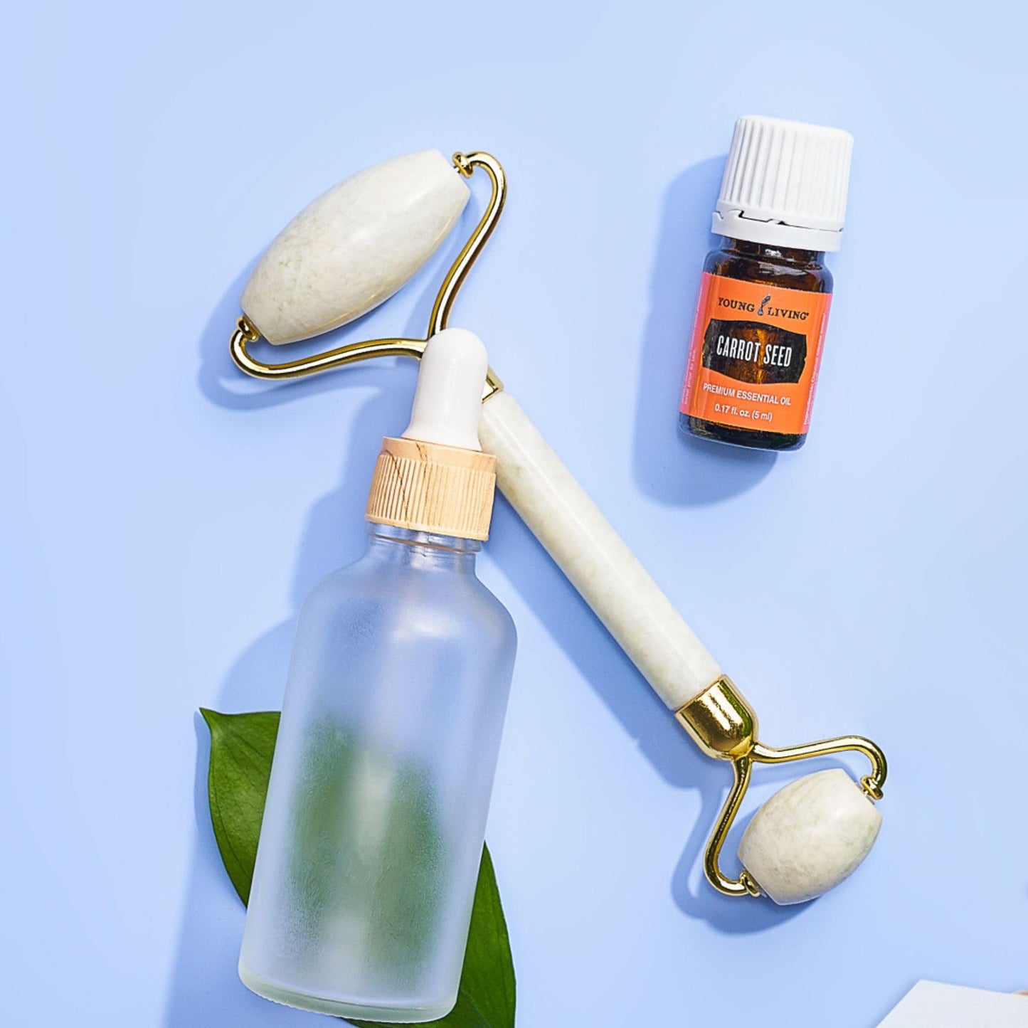 Young Living Carrot Seed Essential Oil 5 ml | Dry Skin Moisturizer, Beautifying & Skin Cleansing