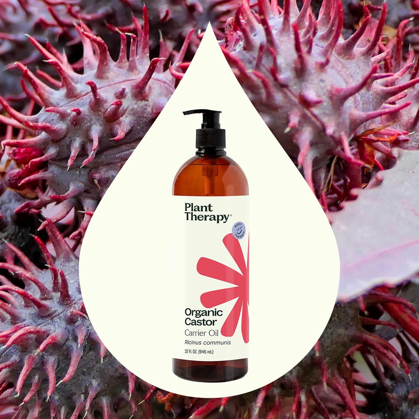 Plant Therapy Organic Castor Oil 32oz | 100% Pure & Natural, Cold-Pressed & USDA Certified Organic