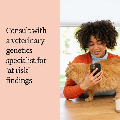 Wisdom Panel Complete Cat DNA Test - 70+ Breeds, 45 Health Conditions
