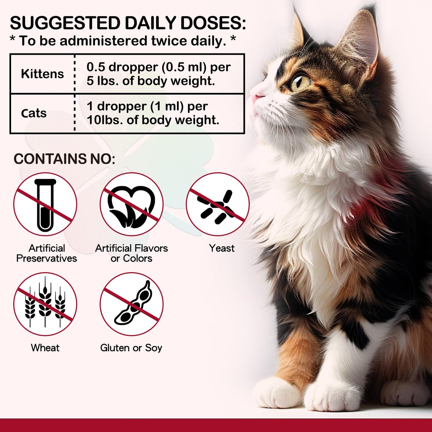 Iron Supplements for Cats - 60ML Liquid Iron with Folate and B12 | Supports Anemia, Energy Levels, and Blood Health
