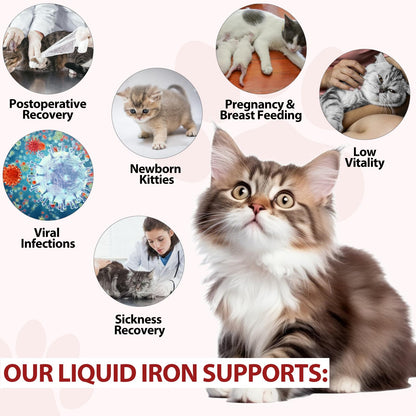 Iron Supplements for Cats - 60ML Liquid Iron with Folate and B12 | Supports Anemia, Energy Levels, and Blood Health