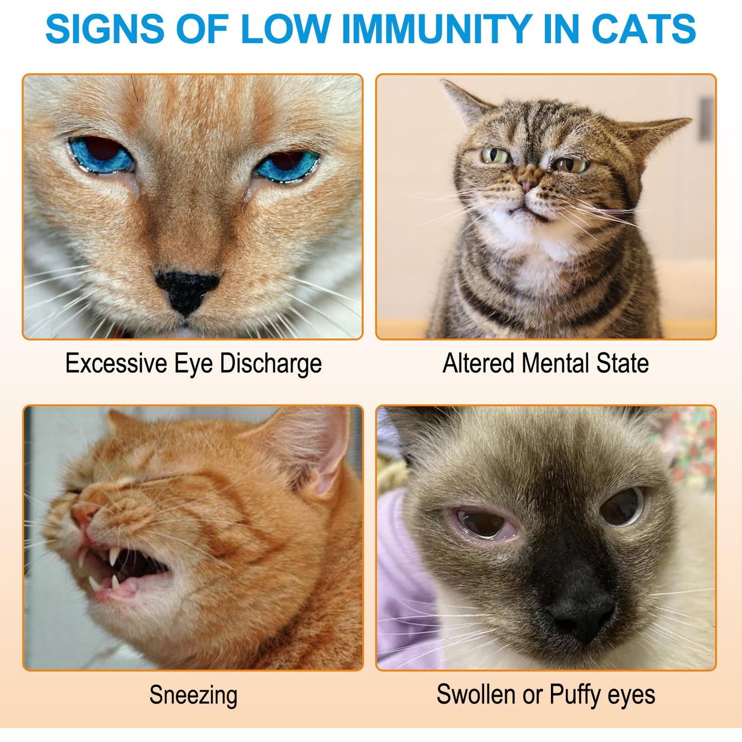 L-Lysine for Cats – 900mg (2 Scoops) Immune Support, Eye & Respiratory Health – 4.23oz (120g)