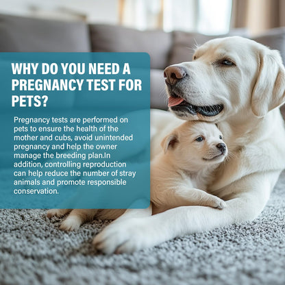 at-Home Dog Pregnancy Test Kit | 15-Minute Accurate Results | Easy Pregnancy Test Strips for Dogs & Cats | Safe Early Detection