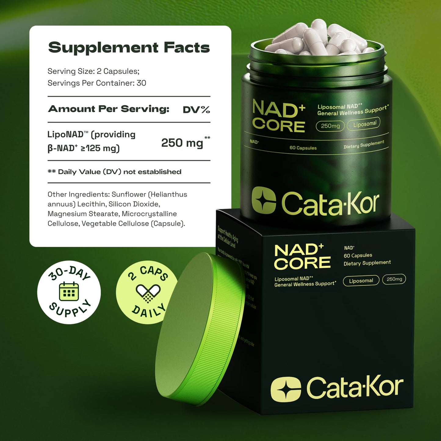Cata-Kor NMN Alternative – Liposomal NAD+ Core (NAD CORE) – 60 Capsules, 30-Day Supply | Third-Party Tested
