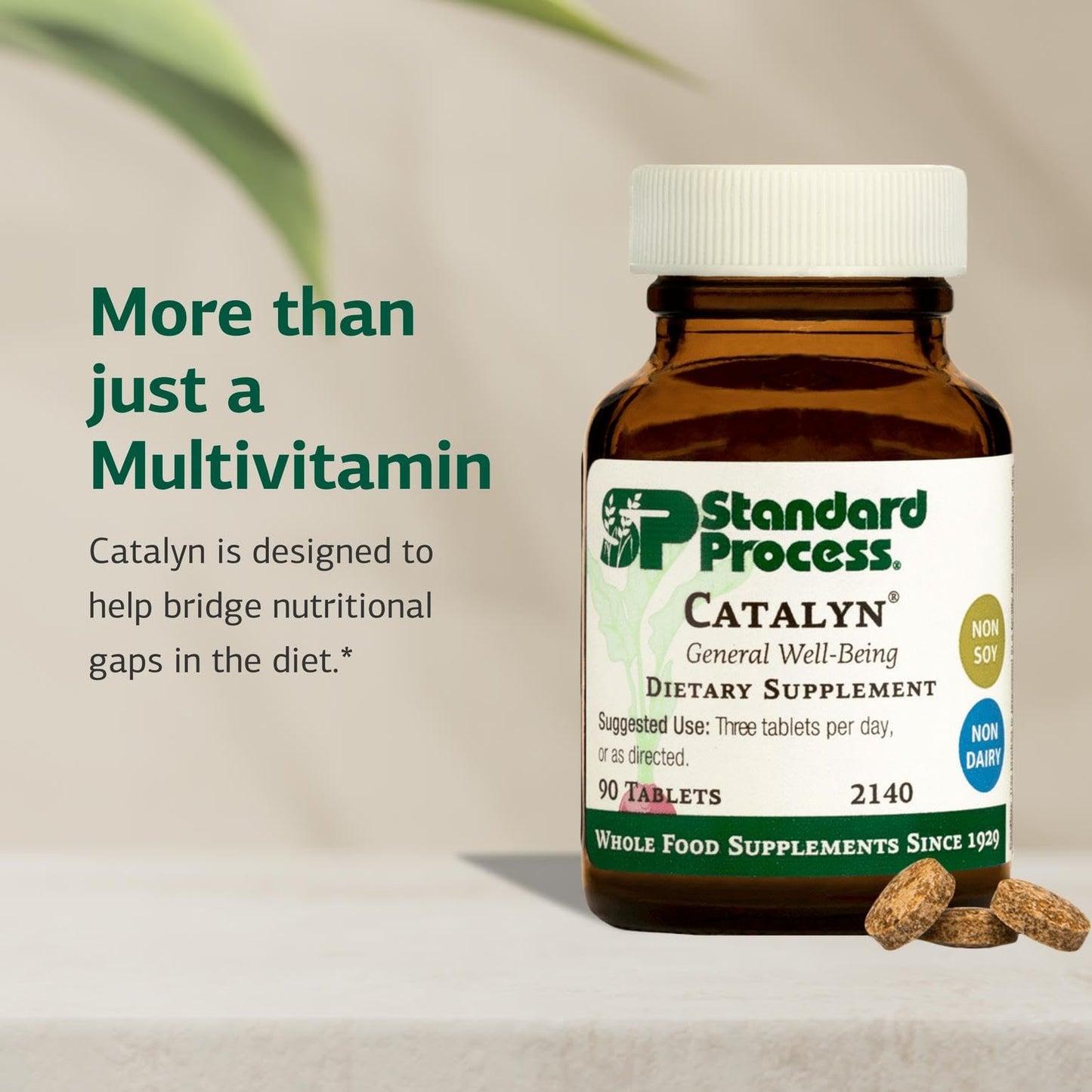 Catalyn by Standard Process - General Well-Being Tablet with Antioxidant Support (Vitamins A, B6 & D) - 90 Tablets