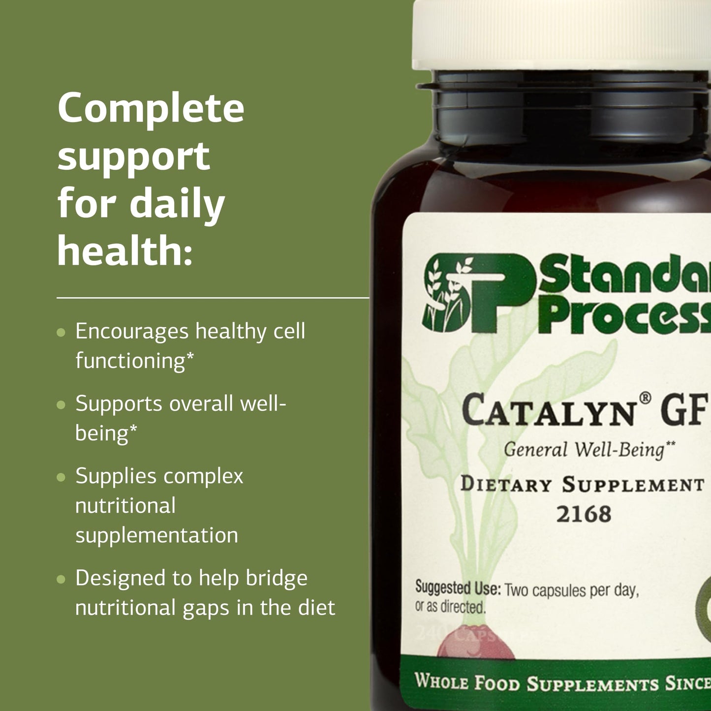 Standard Process Catalyn Gluten Free – 240 ct Capsules (120 Servings)