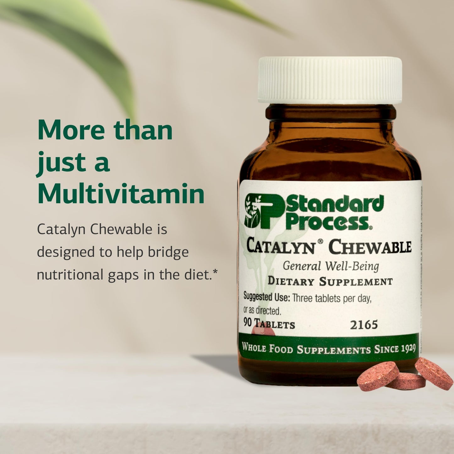 Catalyn Chewable Multivitamin – Whole Food-Based Cell Support – Vitamins A, D & B6 – Non-Dairy & Non-Soy – 90 Tablets