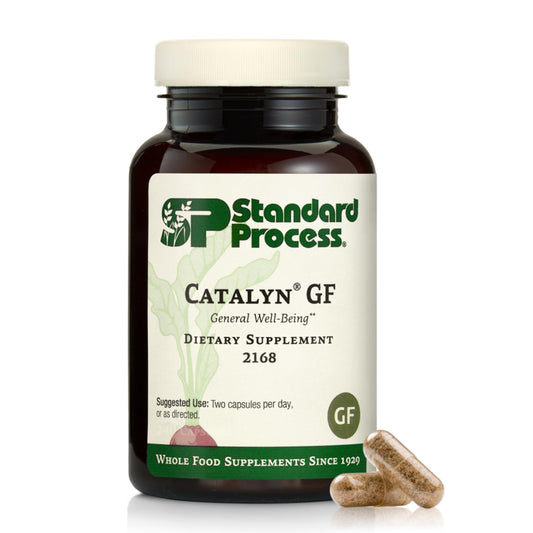 Standard Process Catalyn Gluten Free – 240 ct Capsules (120 Servings) BritishVita | Premium UK Vitamins & Wellness Supplements