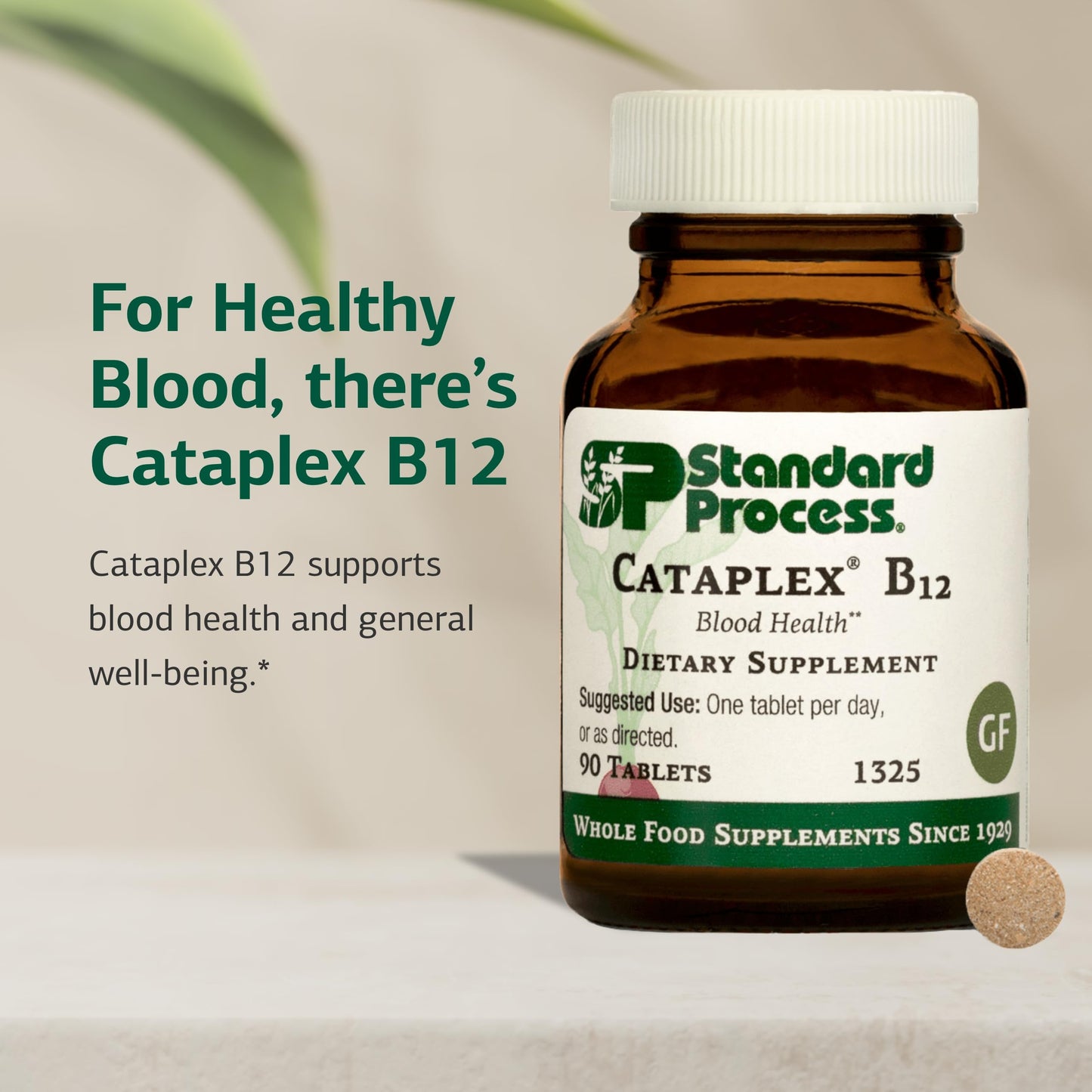 Cataplex B12 by Standard Process - Vitamin B12 for Blood Health & Nervous System (Gluten-Free, 90 Tablets)