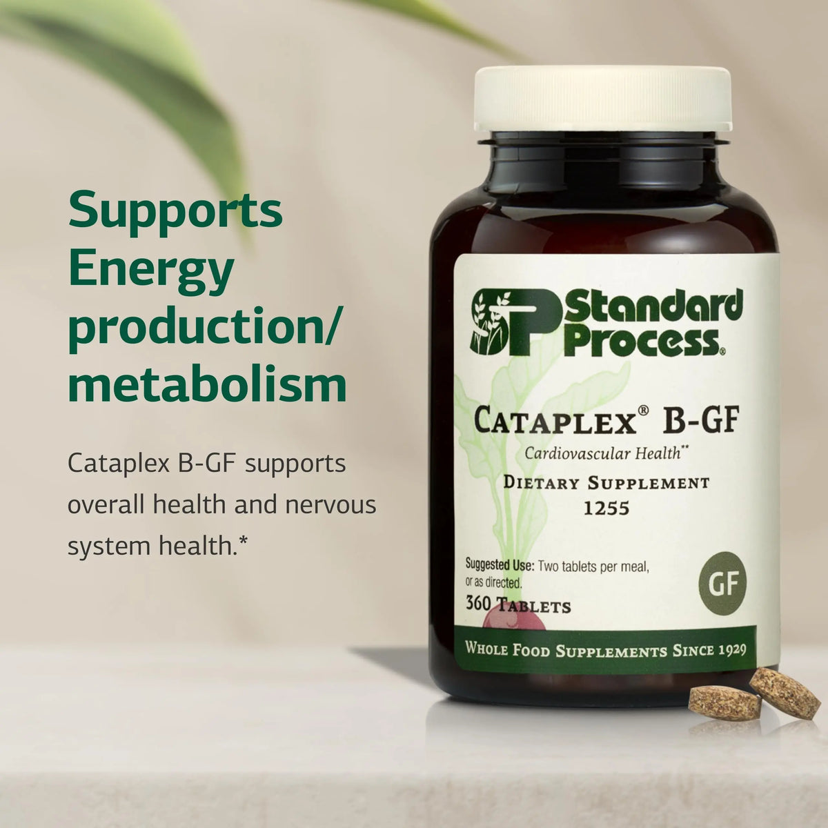 Standard Process Cataplex B-GF - Nervous System & Energy Support - Gluten-Free, Non-Dairy & Non-Soy - 360 Tablets BritishVita | Premium UK Vitamins & Wellness Supplements