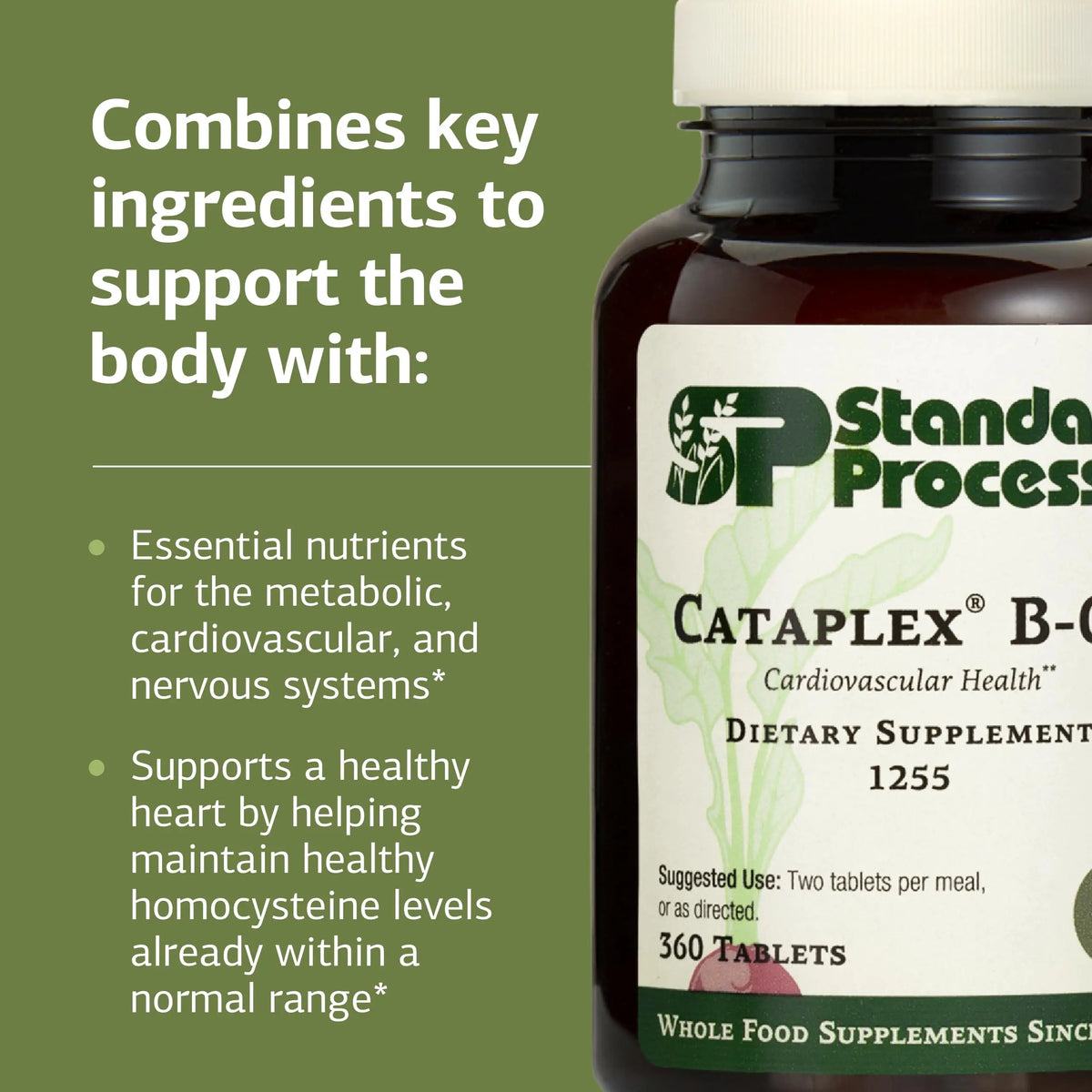 Standard Process Cataplex B-GF - Nervous System & Energy Support - Gluten-Free, Non-Dairy & Non-Soy - 360 Tablets BritishVita | Premium UK Vitamins & Wellness Supplements