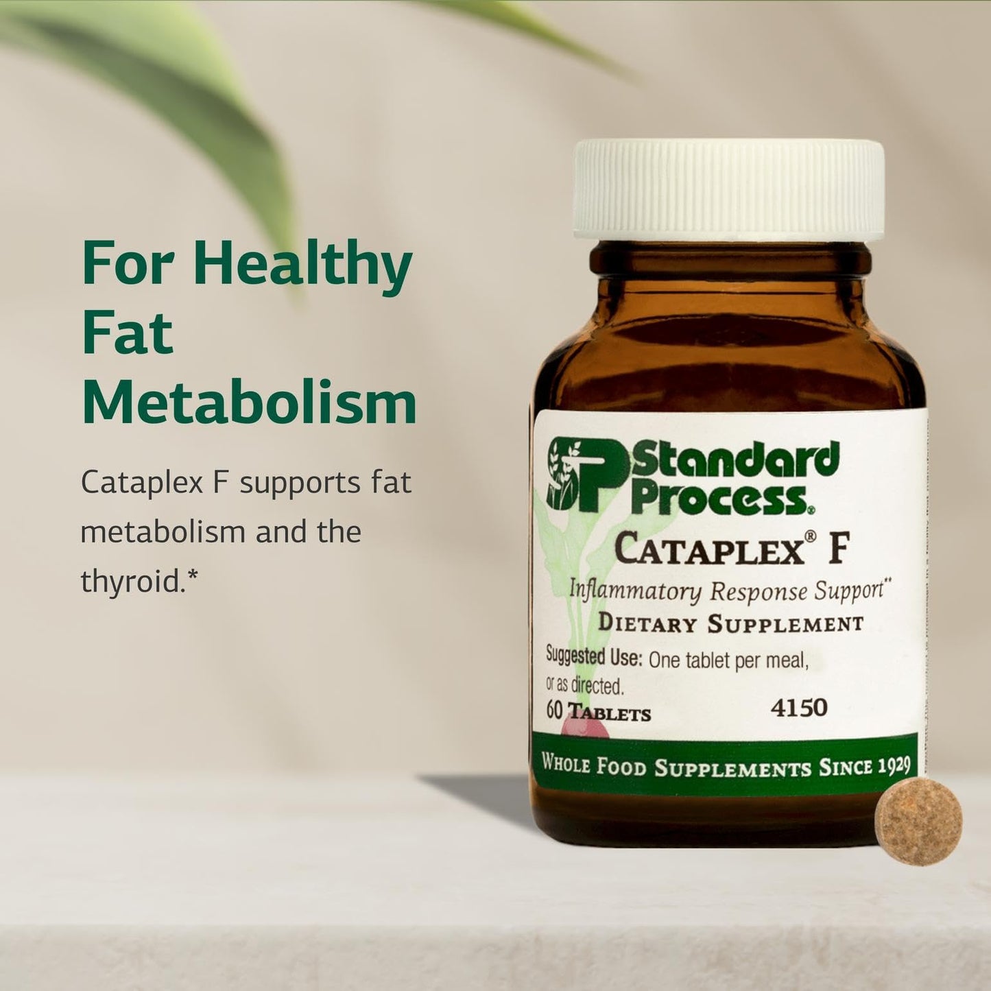 Cataplex F by Standard Process – Thyroid Support, Metabolism & Skin/Hair Health (90 Tablets)