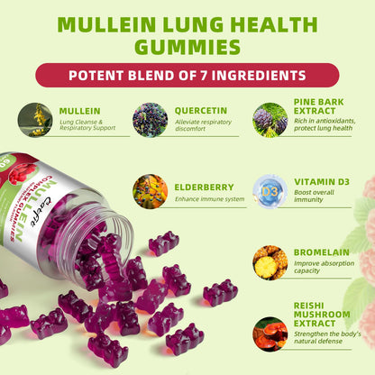 Catfit Mullein Gummies for Lungs – 2 Pack, Raspberry, Quercetin & Elderberry | 60 Gummies