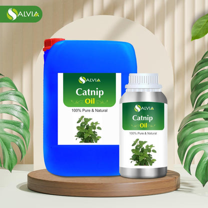 Catnip (Nepeta cataria) Essential Oil 100% Pure & Natural - 250 ml | Aromatherapy